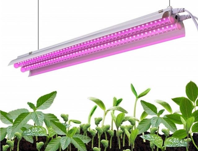6 Ways To Maximize The Benefits Of Led Grow Lights