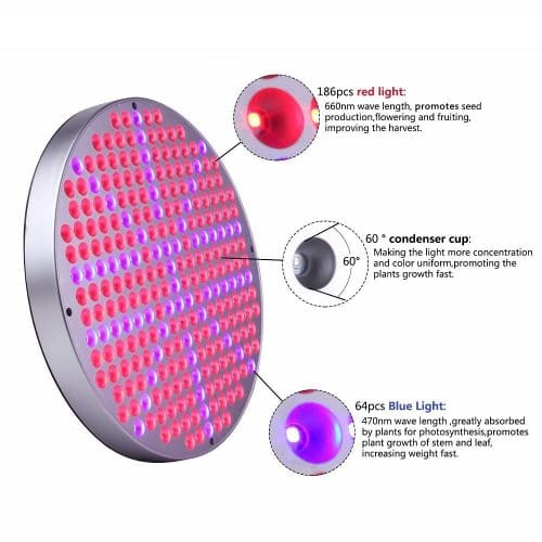 round LED grow light 50w, LED grow lights manufacturer